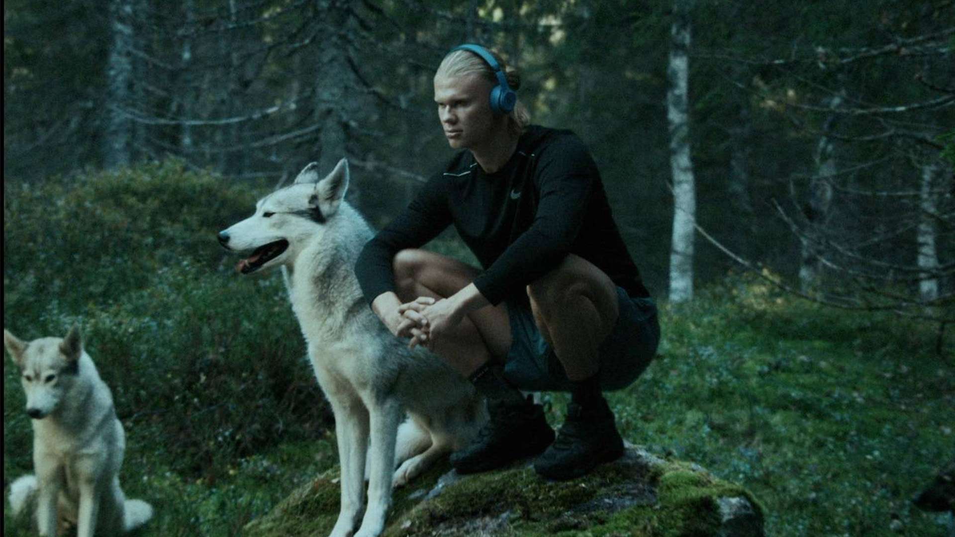 队或许更有 队或许更有